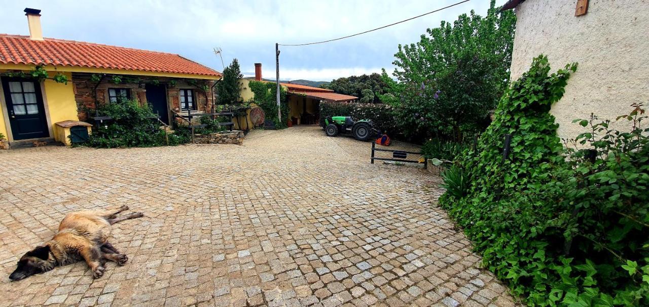 Villa Quinta Do Chao D'Ordem Vila Nova de Foz Côa Exterior foto